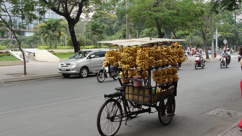 Transport de bananes