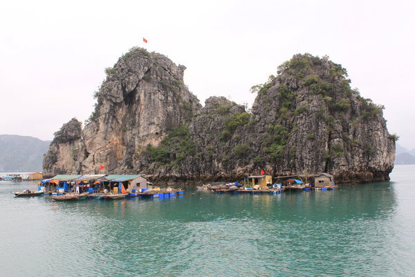 A fishing village in Halong Bay