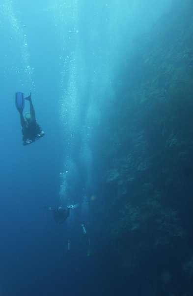 Diving along the coral wall...