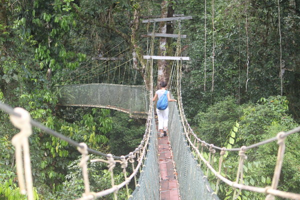 Vy walking on the canopy walk...