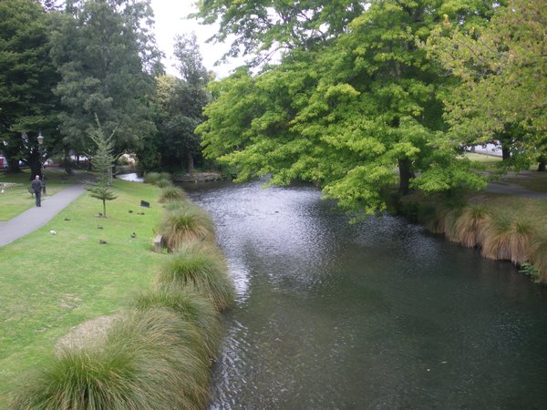 River Avon in Christchurch