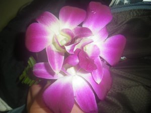 Orchid given to me on my Thai airways flights to Delhi