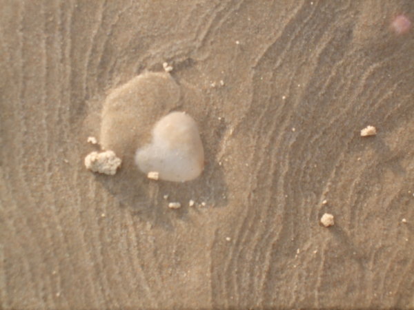 Heart shape jellyfish