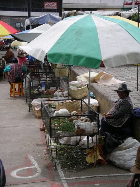 Market in Riobamba
