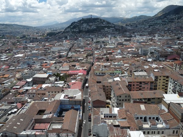 Quito and the Penecillio