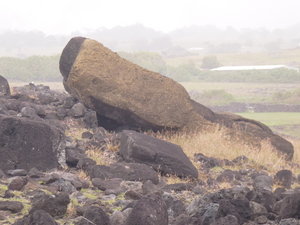 A toppled Moai