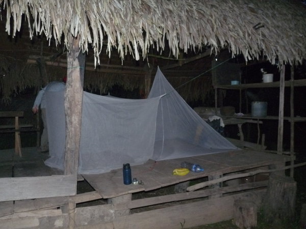 Mosquito nets well set up
