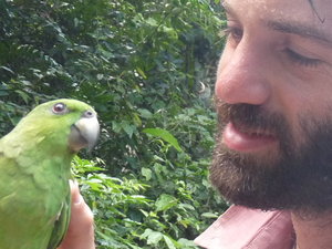 Me and a Parrot