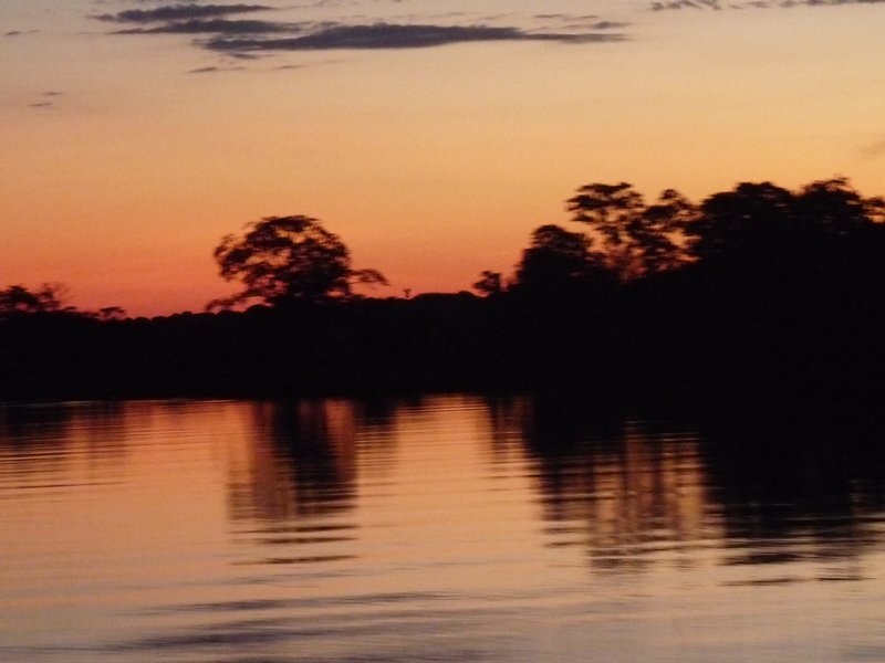 Amazon river at dawn