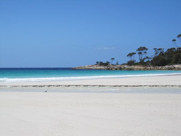 Next stop: Bay of Fires