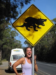 Achtung Tasmanischer Devil / Caution Tasmanian Devil! 