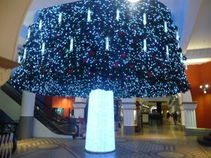 Queen Victoria building Christmas tree  Photo