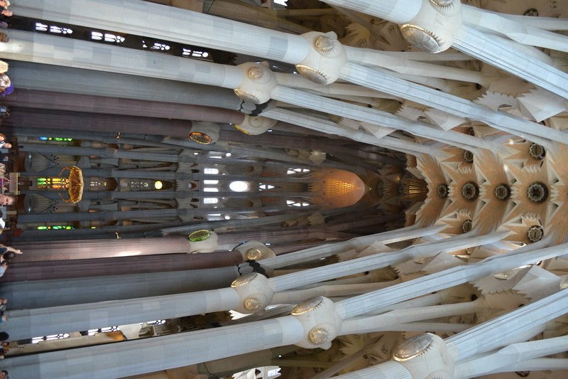 Piliers arbres de la Sagrada Família