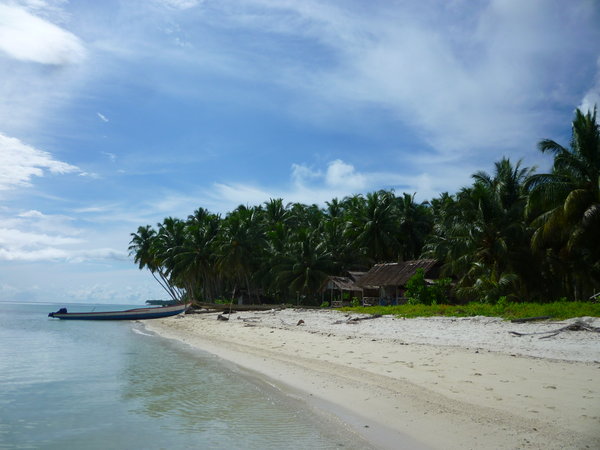 Prt 2: The beach and house - mangrove side