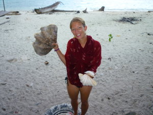 Prt 2: Amazing giant clam shells