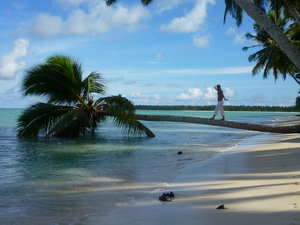Prt 2: coconut tightrope walking