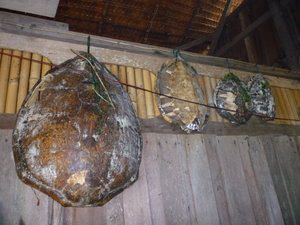Prt 2: The turtle shells...