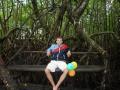 Mangrove walk 4