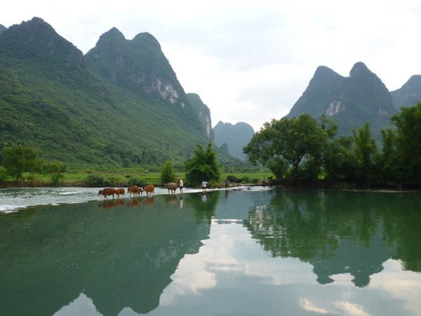 Early evening on the river Yulong 