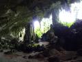Cave of the birds nests