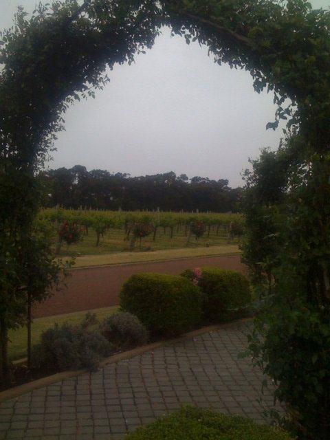 the beautiful gardens at Voyager Estate
