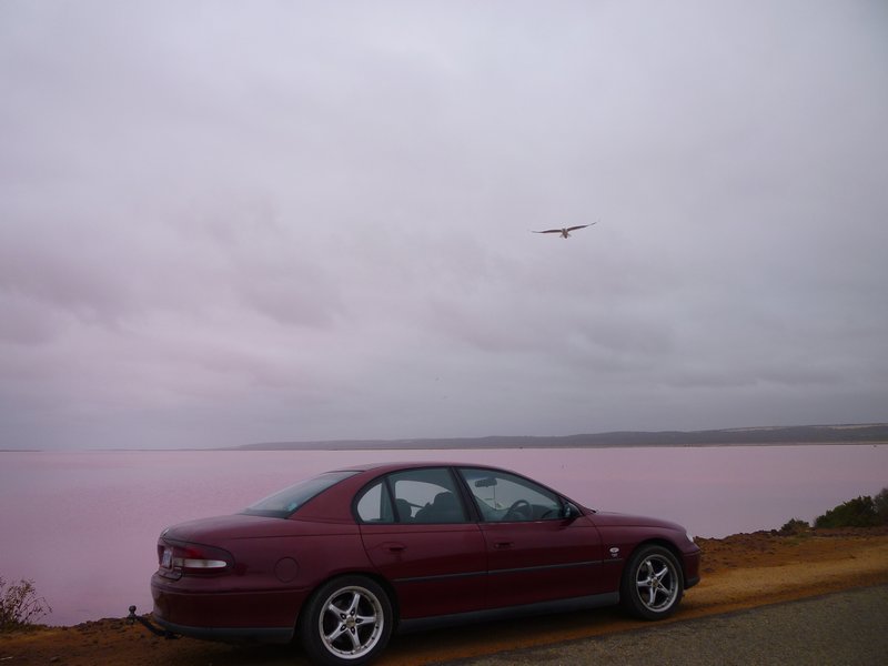 The PInk Lake at Port Gregory