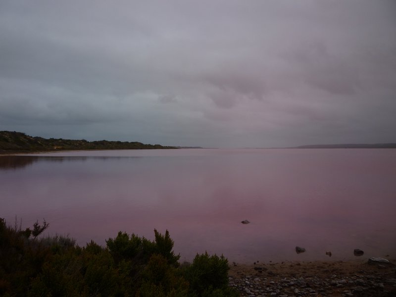 The weird and wonderful pink lake