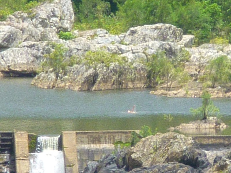 A man swimming at the top of Baron Falls