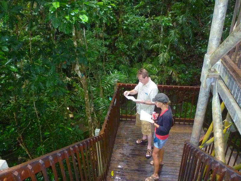 At the canopy tower, Discovery Centre, Daintree
