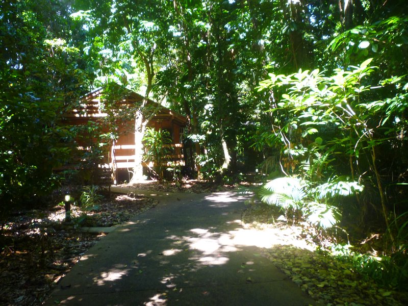Our rainforest lodge