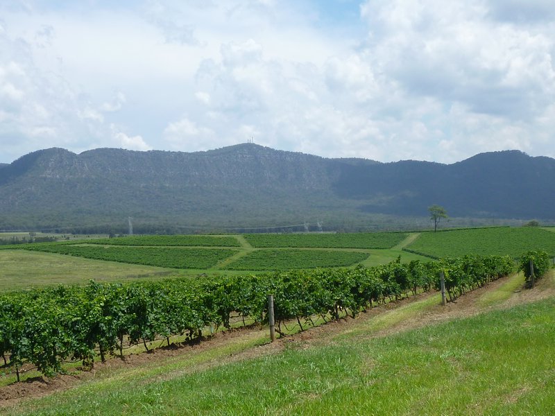 Valleys of vineyards