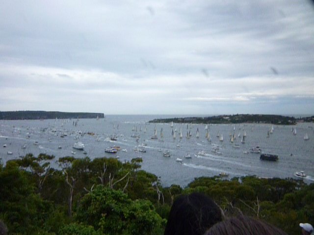 many boats out for the race