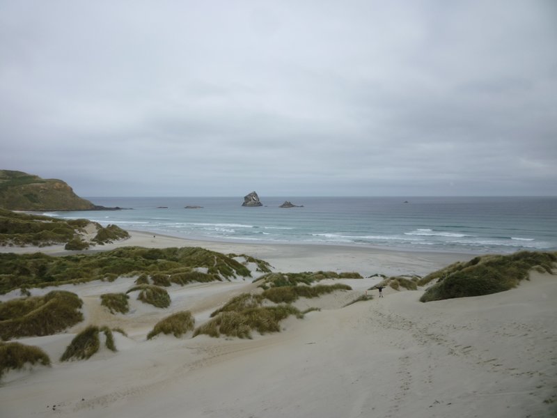 The sand dune at Sandfly bay