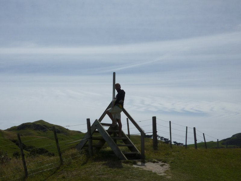 Over the stile to Wharariki