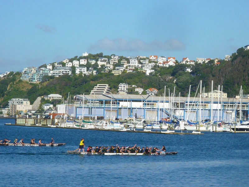 many craft in the harbour