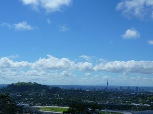 Volcanic cones and Auckland city