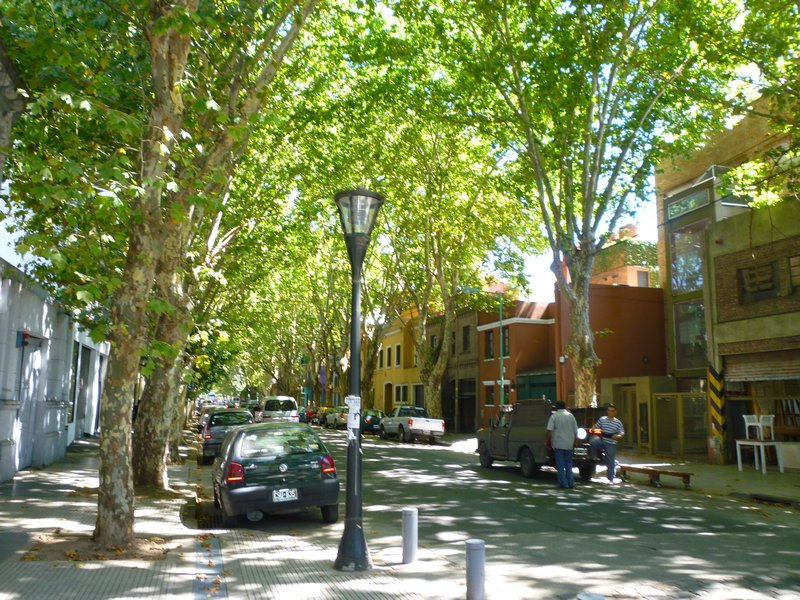 Palermo avenues