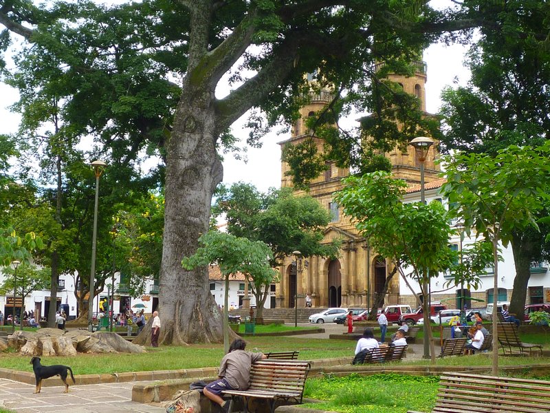 San Gil's leafy plaza