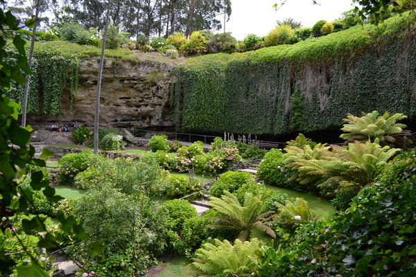 Umpherston's Garden in Mt Gambier