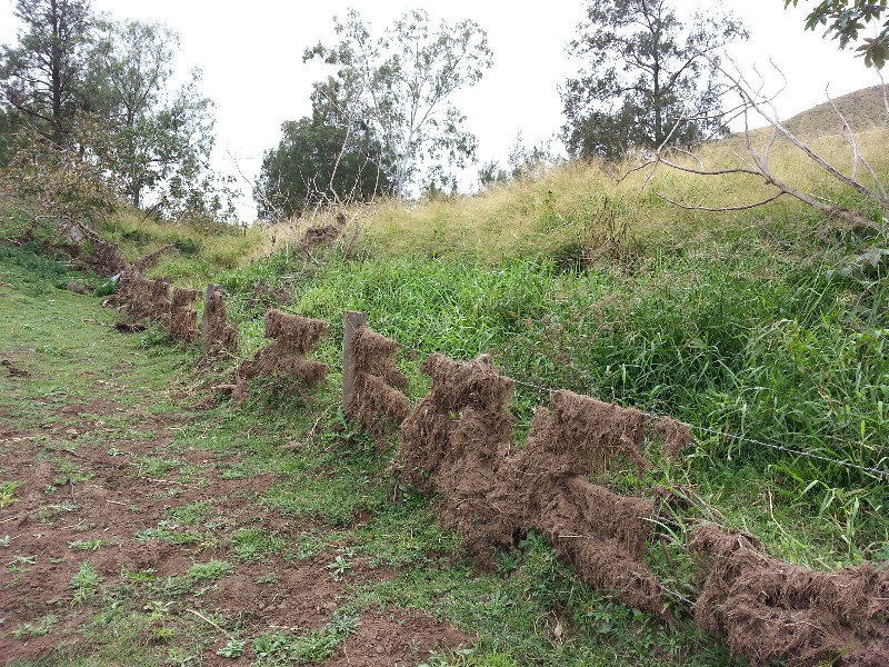 A flood-damaged fence.