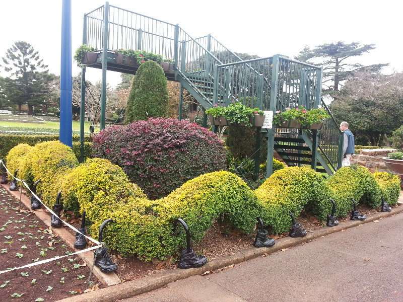 Exquisite topiary here in Laurel Bank Park Gardens.