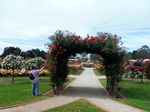 The Victorian Rose Garden