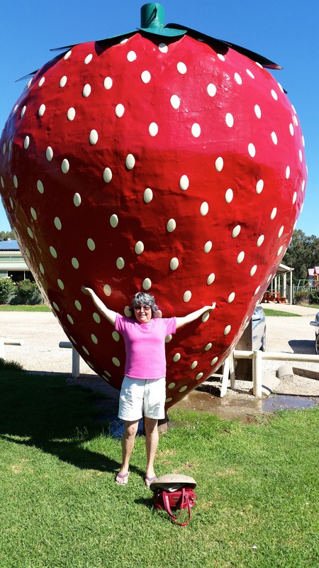 The Big Strawberry - near Tocumwal