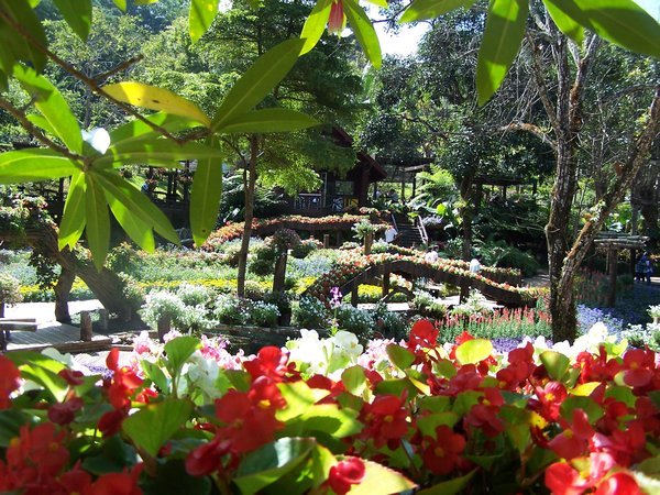 Gardens @ Doi Tung