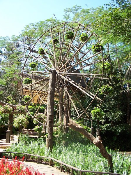 Moving "ferris" wheel with plants