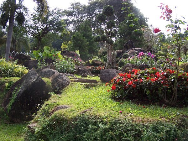 Stone garden @ Doi Tung