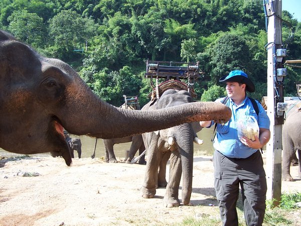 Rick feeding elephants bananas & sugarcane