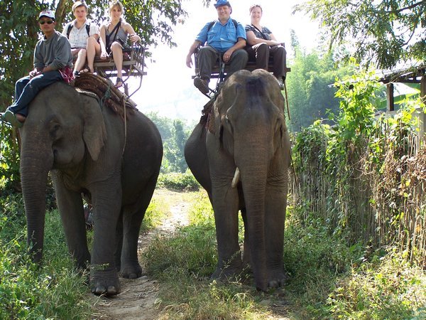 Great pic of all of us on elephants