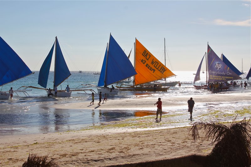 Sailboats on the Cove