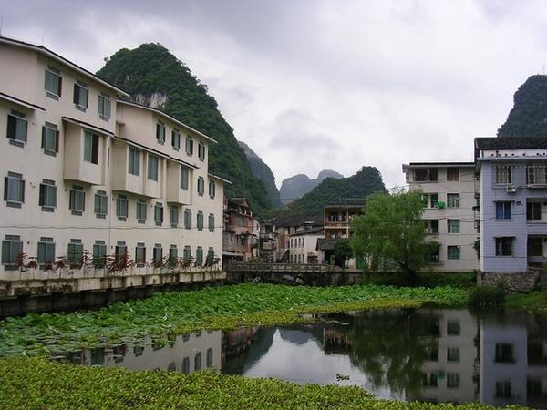 Lilly Pond in Yangshuo 